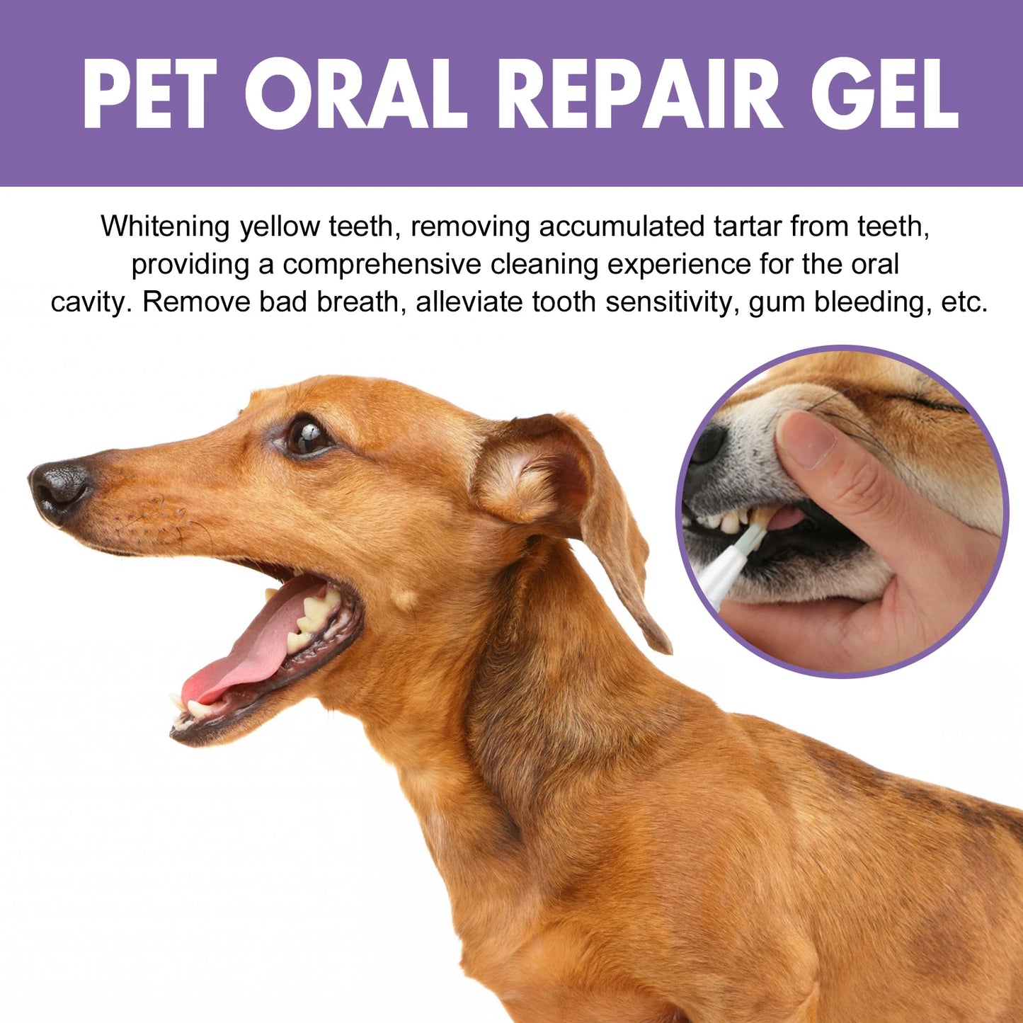 Pet Oral Repair Gel Deep Cleaning Teeth