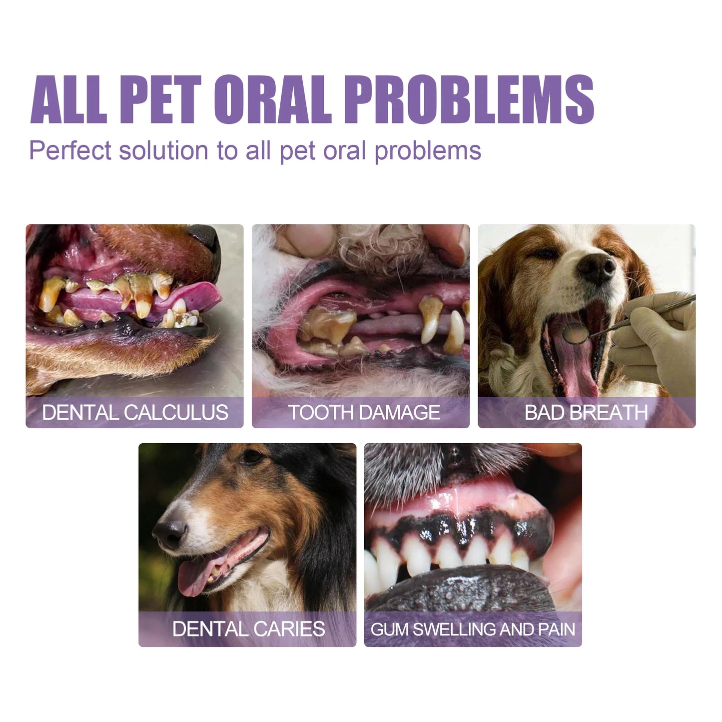 Pet Oral Repair Gel Deep Cleaning Teeth