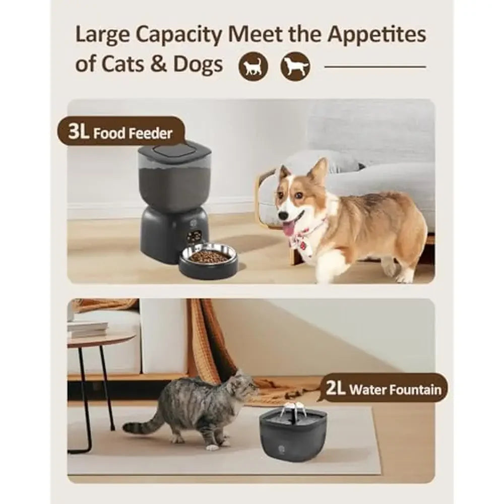 Automatic Pet Feeder Water Dispenser Set Timer