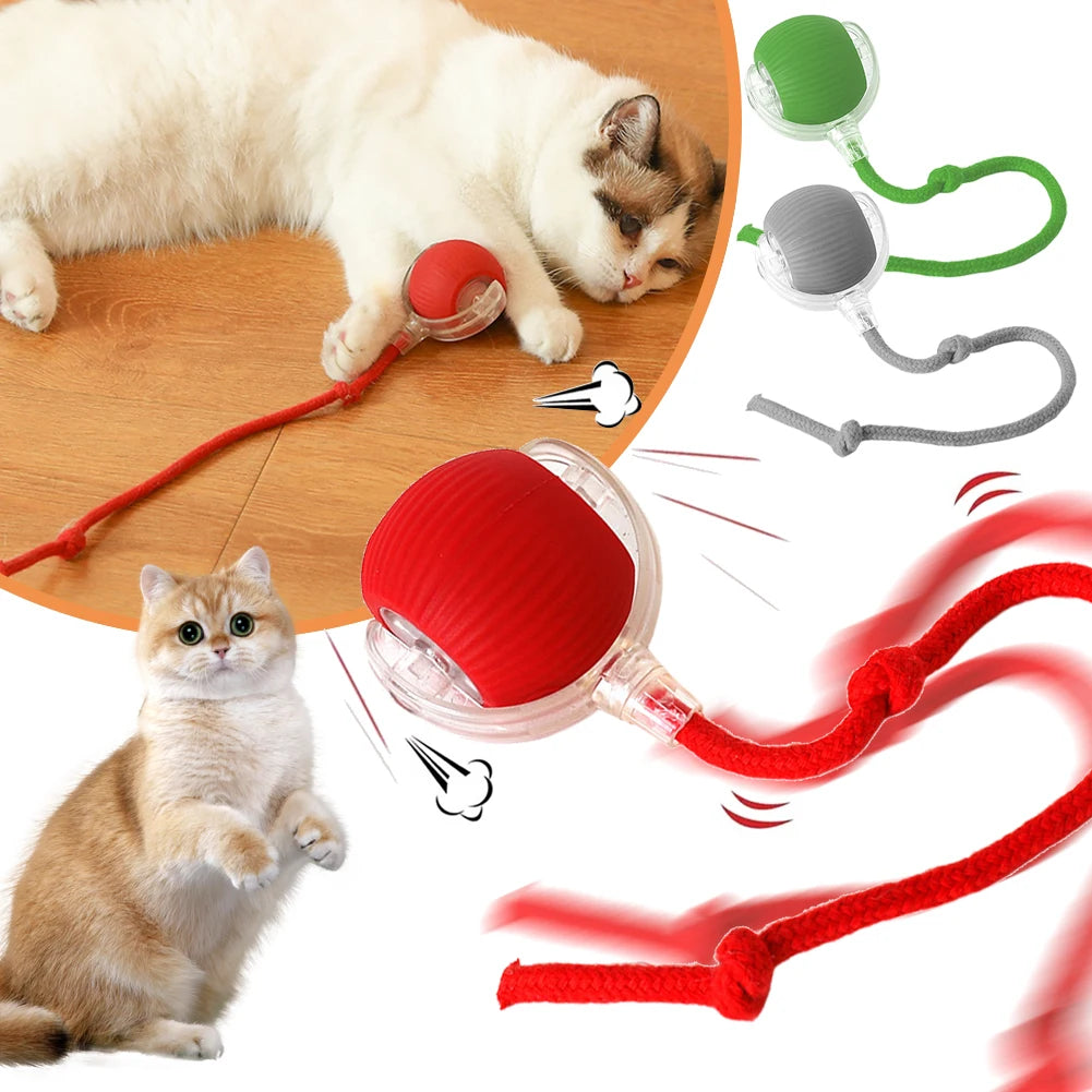 Cat Toys Ball Auto Electric Rolling Ball