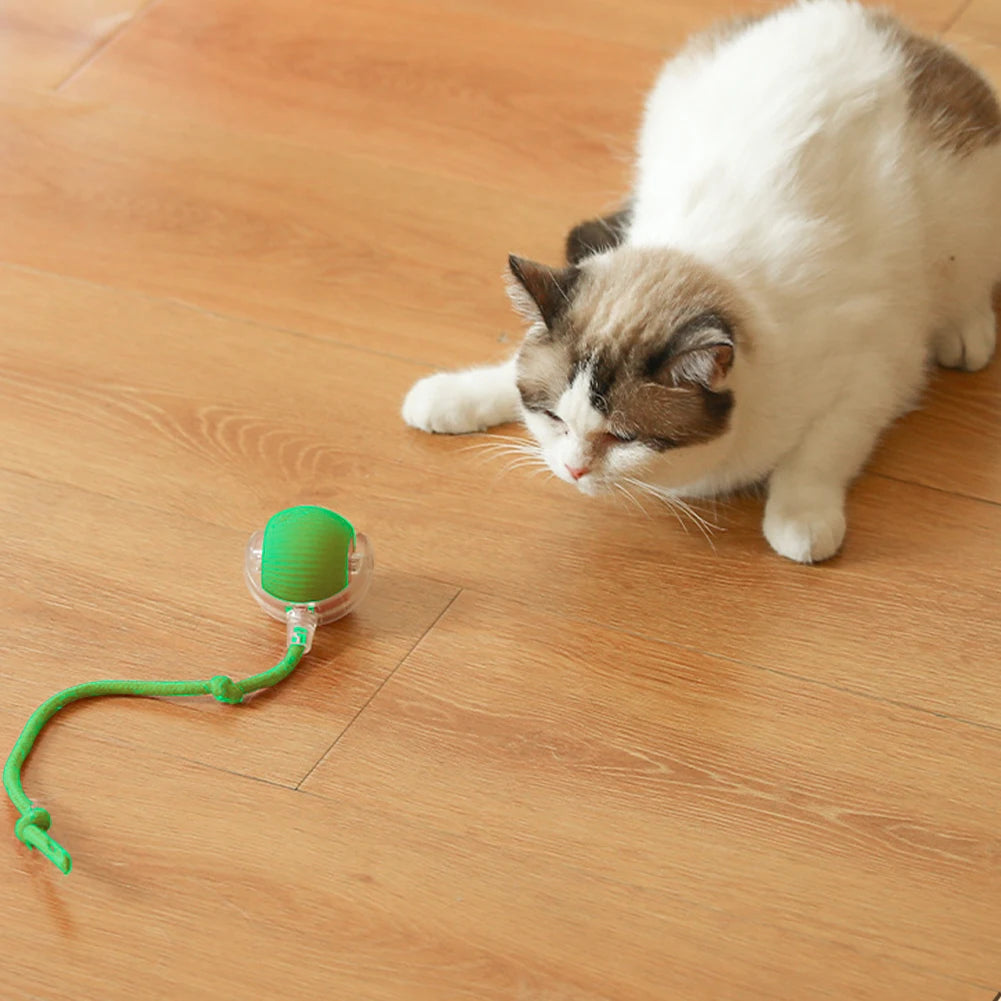 Cat Ball Toys Automatic Rolling Ball Tail