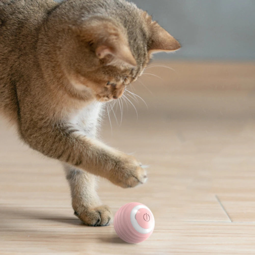 Cat Toy Lights Automatic Bouncing Rolling Ball