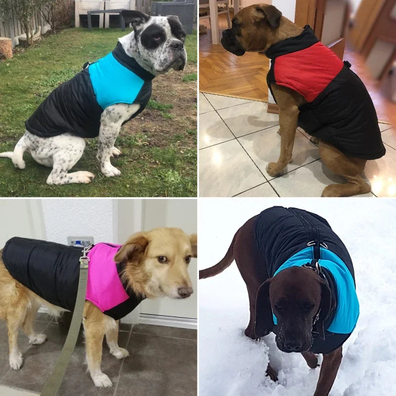 Big Dog Clothes Winter Warm Jacket Waterproof