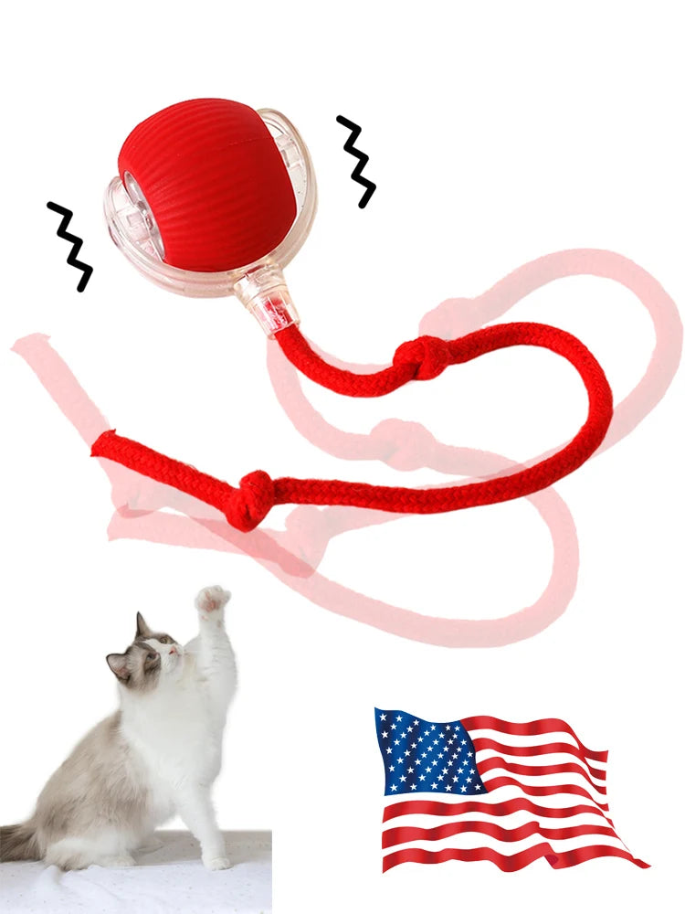 Cat Ball Toys Automatic Rolling Ball Tail