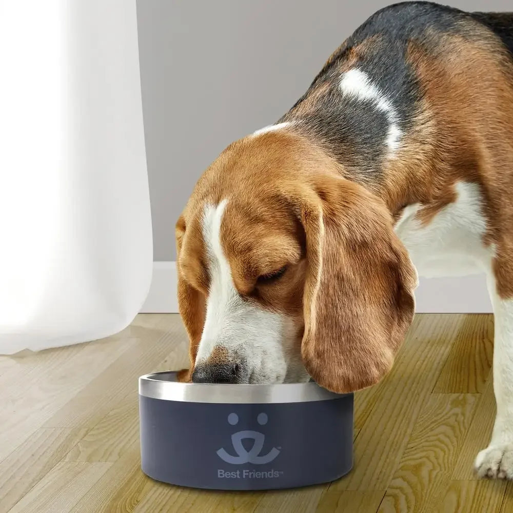 64 oz Stainless Steel Insulated Dog Bowl Non-Slip