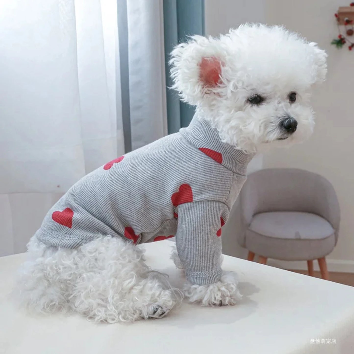 Dog Clothes Shirt Fit Small Dog seasons