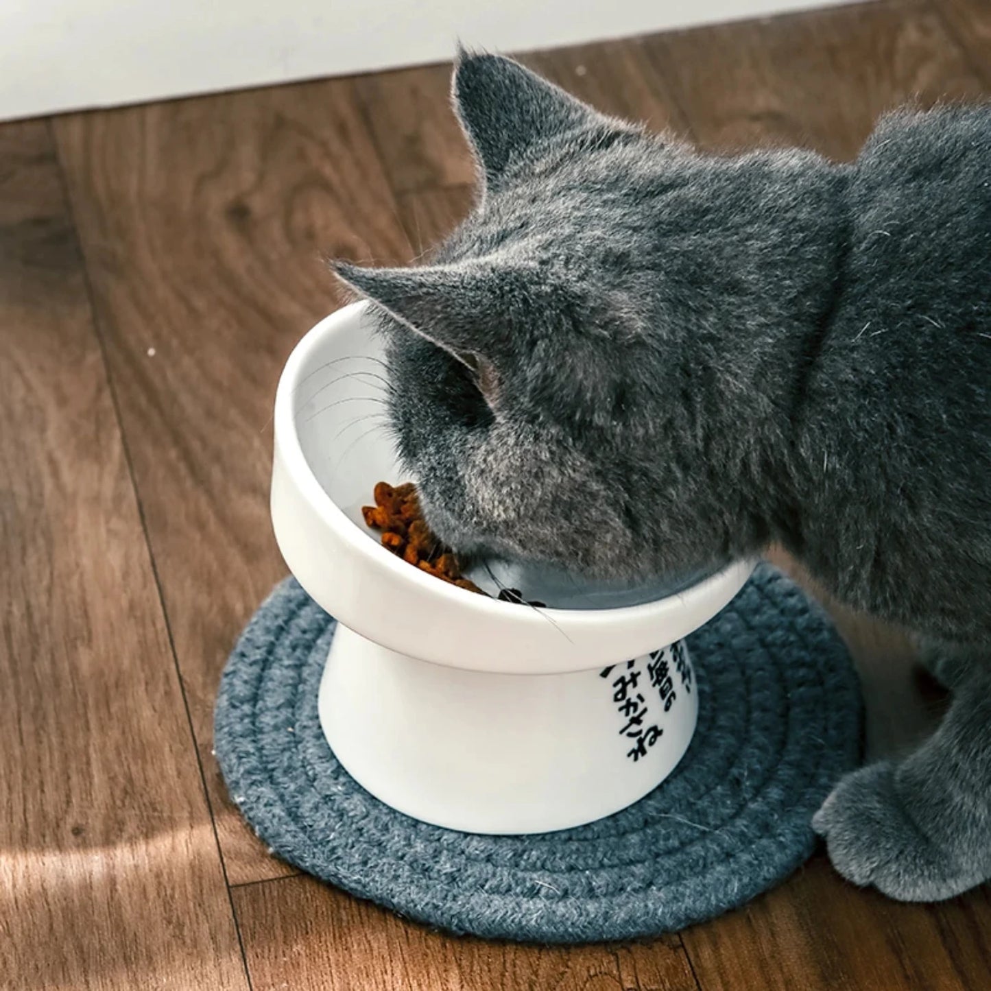 Non-slip Cat Bowl Feeder Raised Stand