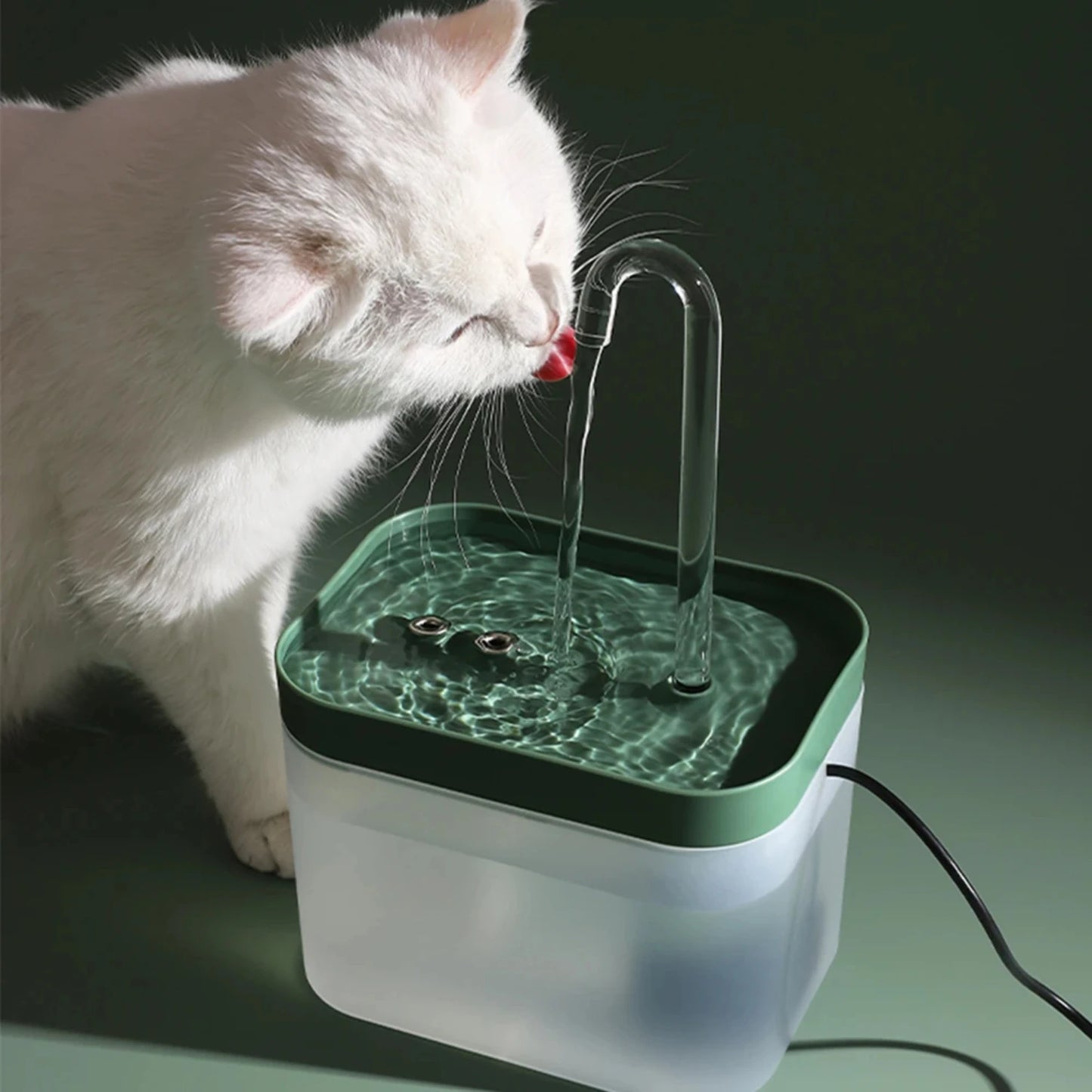 Cat Water Fountain Auto Filter Cat Bowl