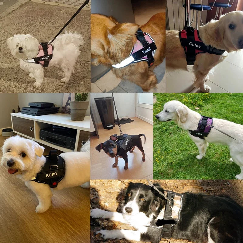 Personalized Dog Harness NO PULL Reflective Breathable