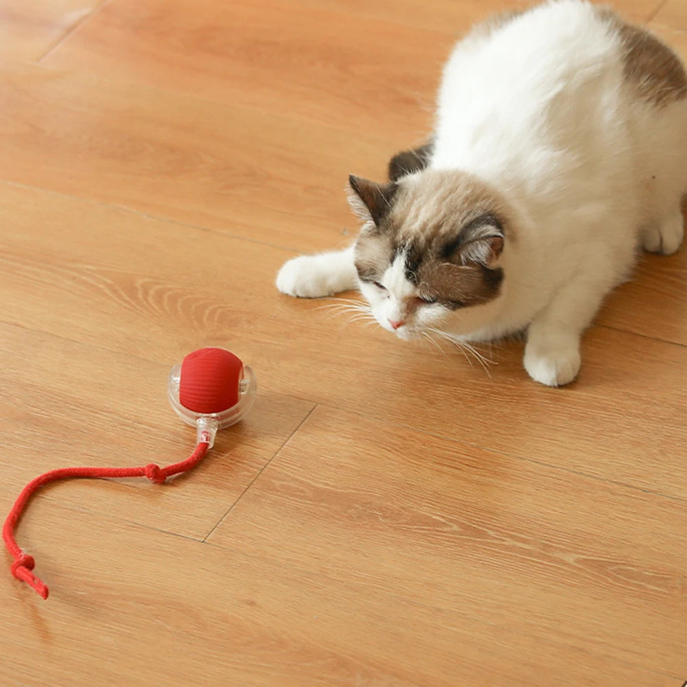 Automatic Fast Rolling Rechargeable Cat Interactive Ball