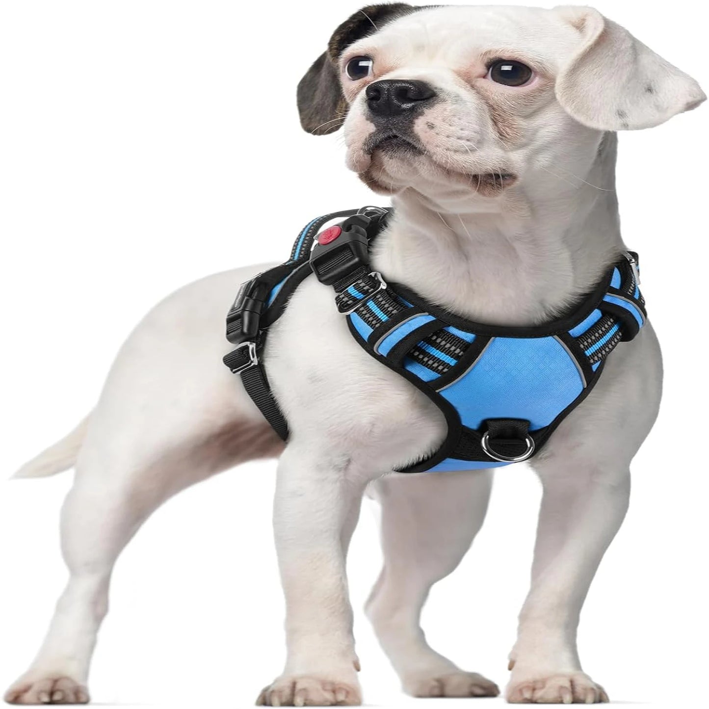 Adjustable Large Dog Harness  Padding, Reflective Strips