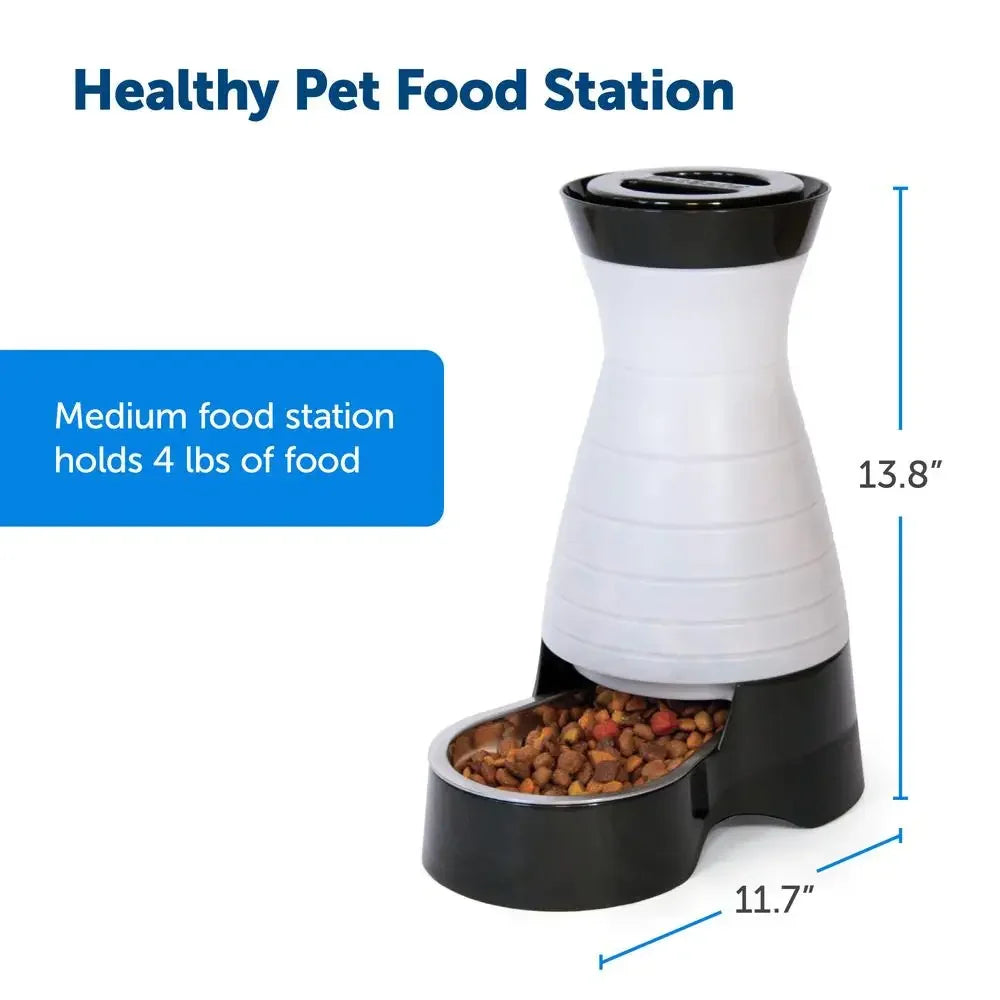 Automatic Food Dispenser Large Capacity Gravity Feeder