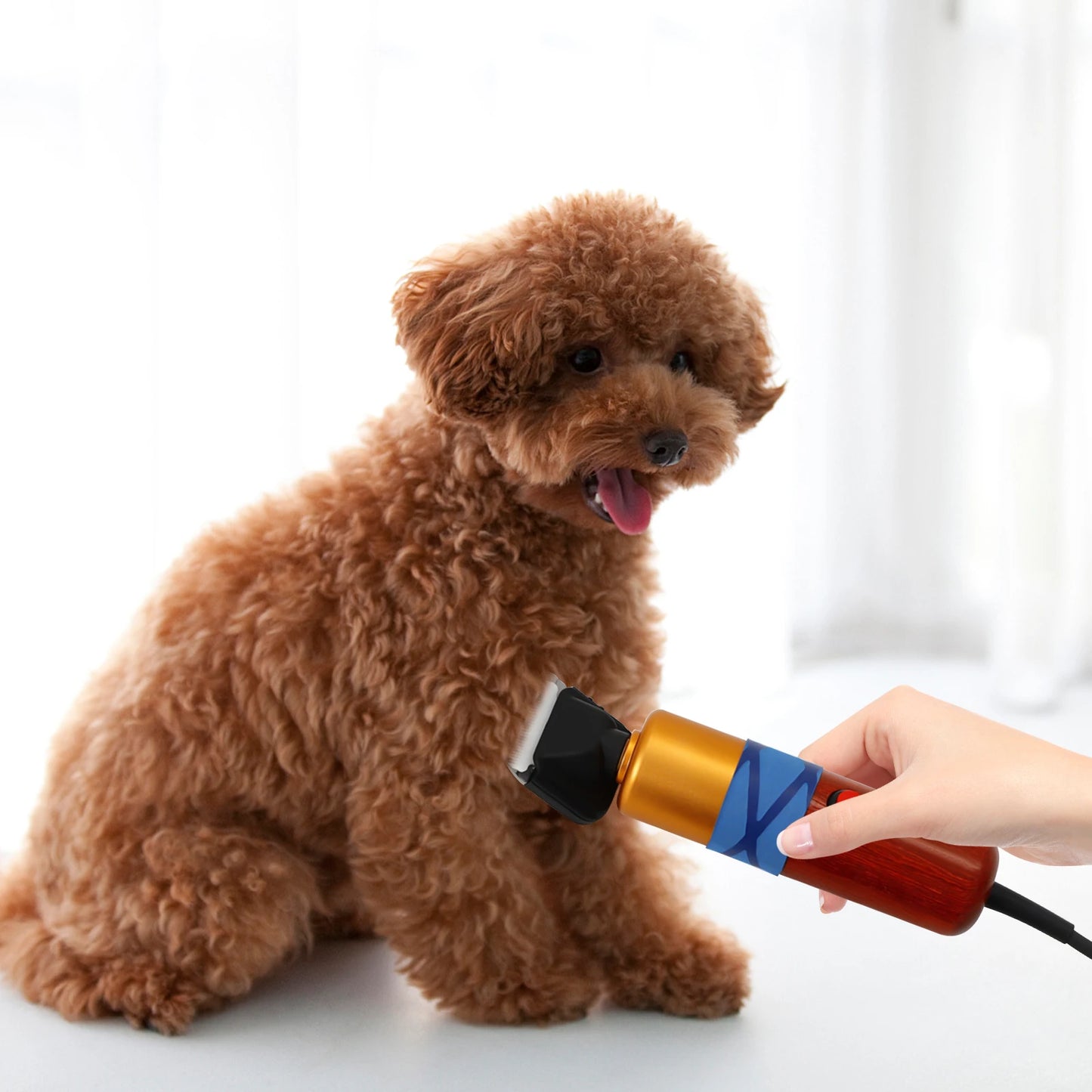 Hair Clipper Low Noise  Electric For Dogs