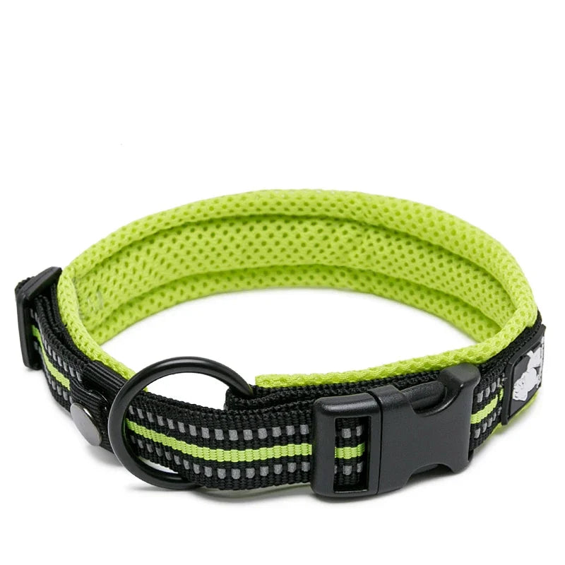 Dog Walking Collar Comfort Padded with Buckle