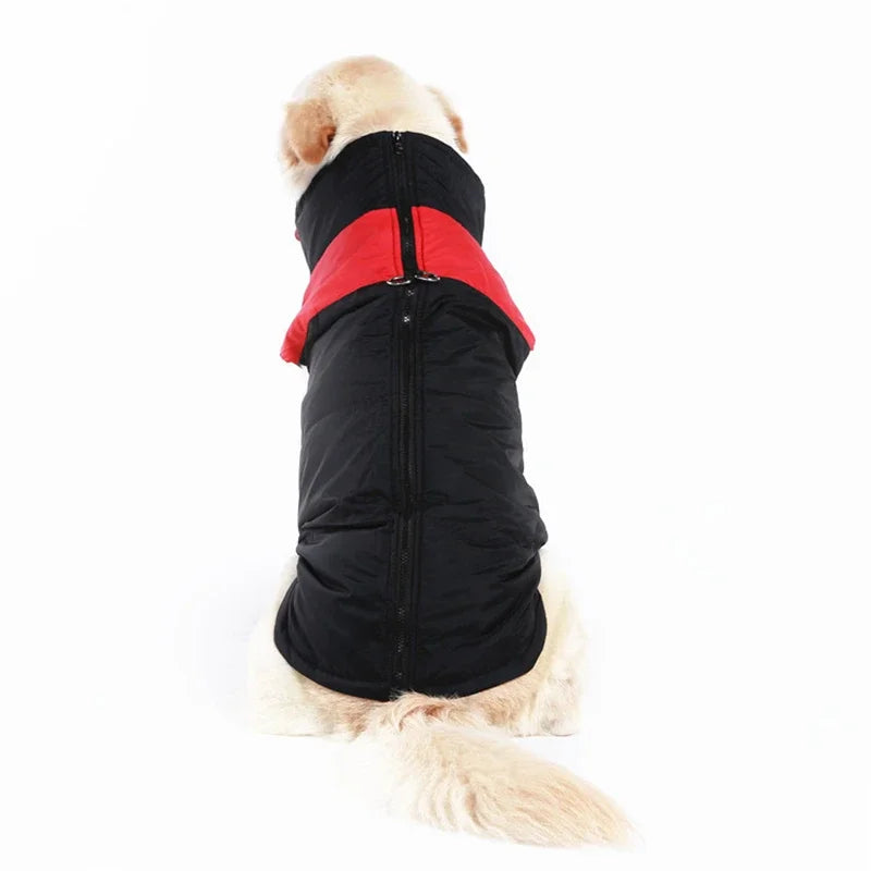 Big Dog Clothes Winter Warm Jacket Waterproof