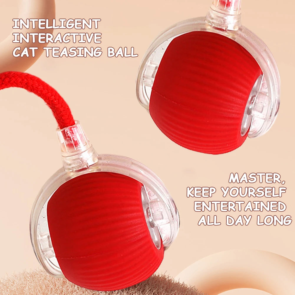 Cat Toys Ball Auto Electric Rolling Ball