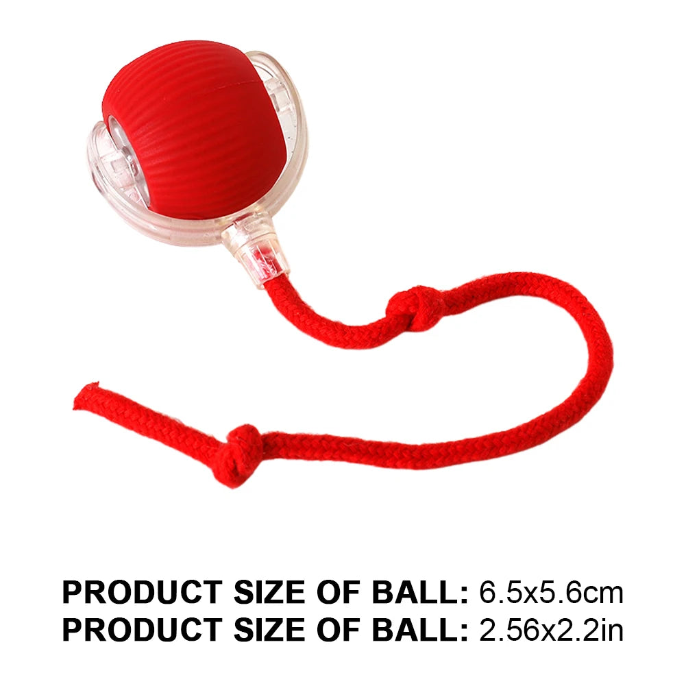 Automatic Fast Rolling Rechargeable Cat Interactive Ball