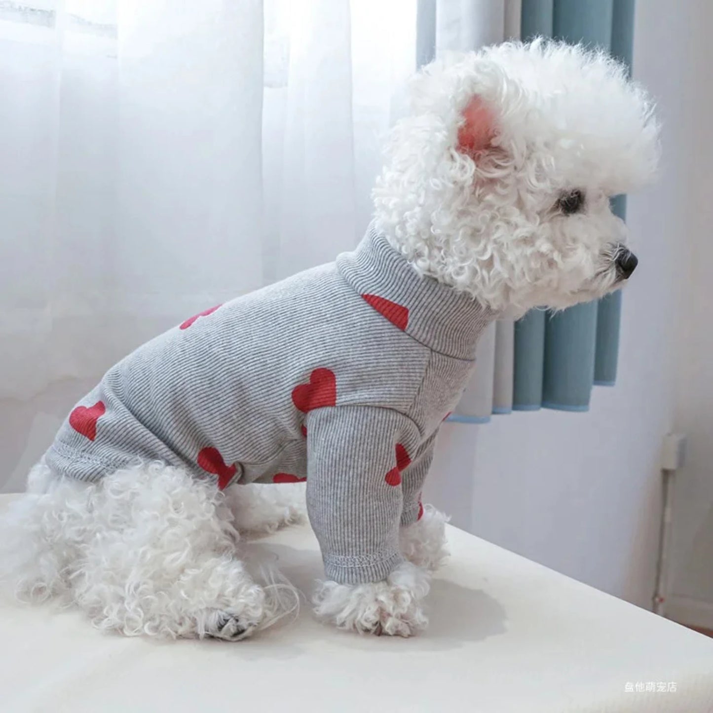 Dog Clothes Shirt Fit Small Dog seasons