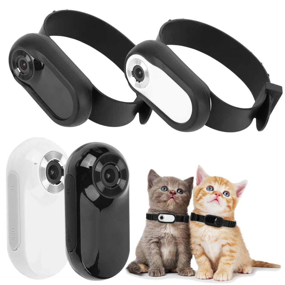 Wireless Collar Camera No WiFi Required Cat