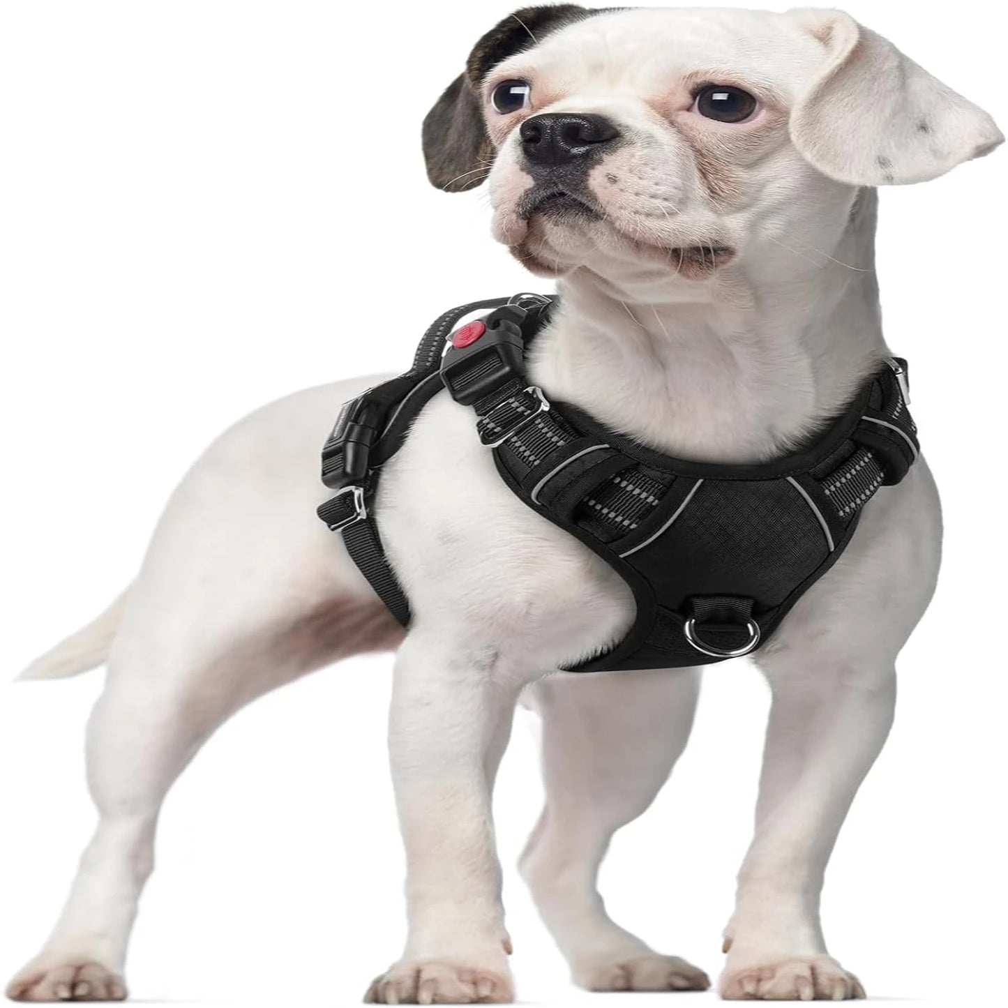 Adjustable Large Dog Harness  Padding, Reflective Strips