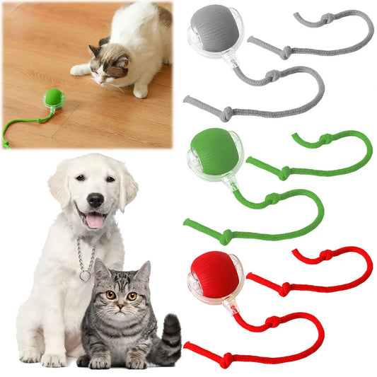 Automatic Fast Rolling Rechargeable Cat Interactive Ball