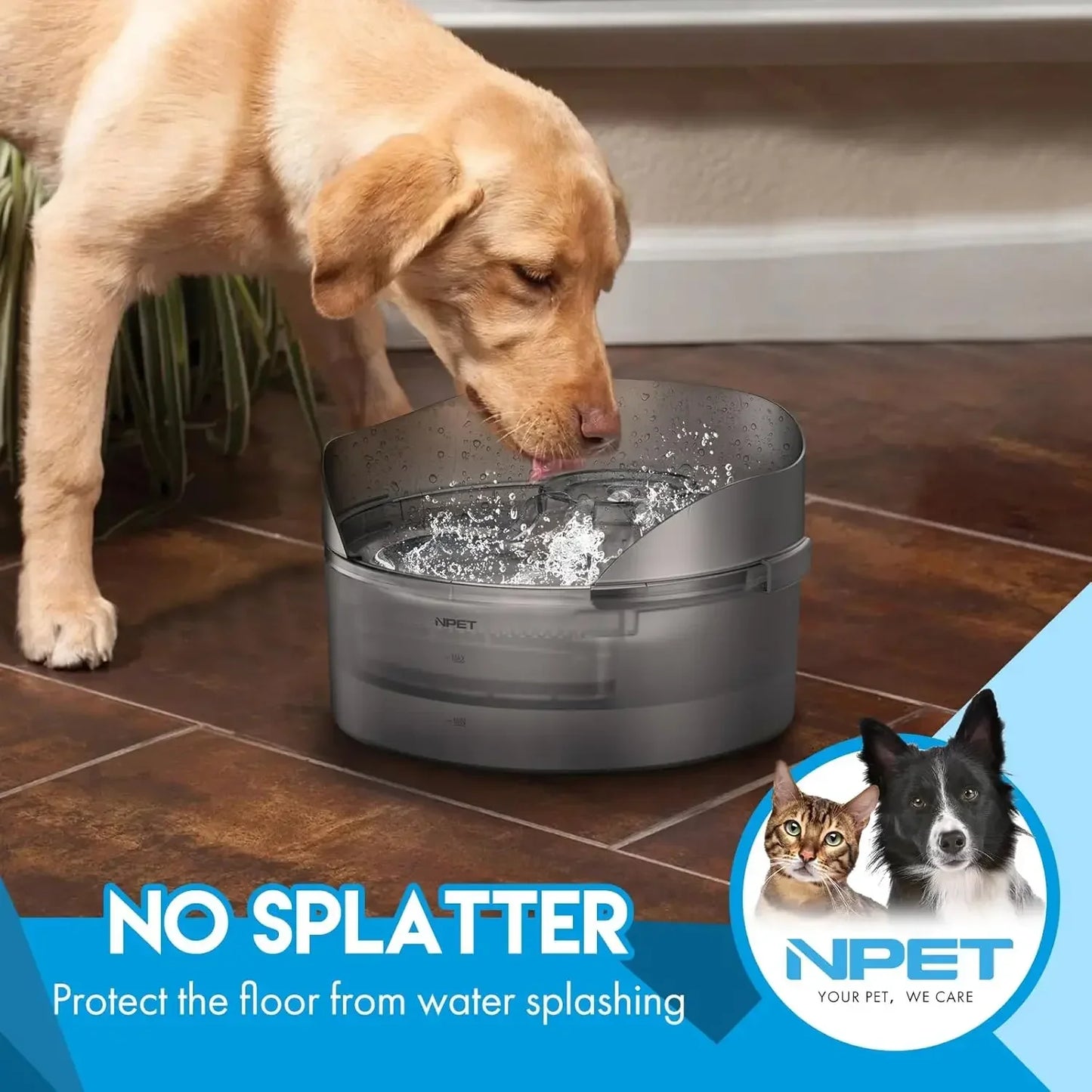 Dog Water Fountain, 1.3 Gallon with Splatter Guard