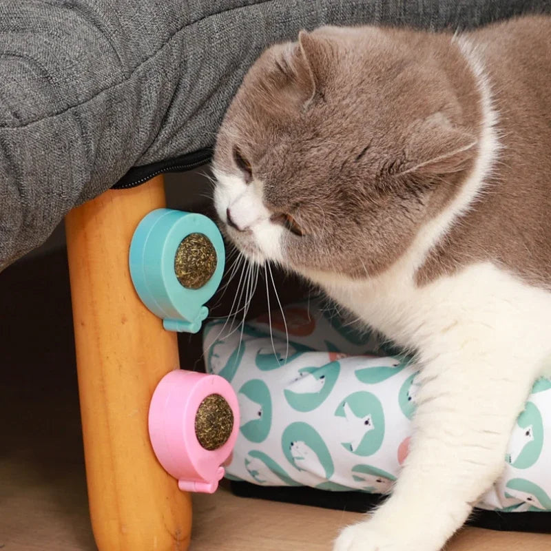 Catnip Stick-on Treats Removes Hair Balls