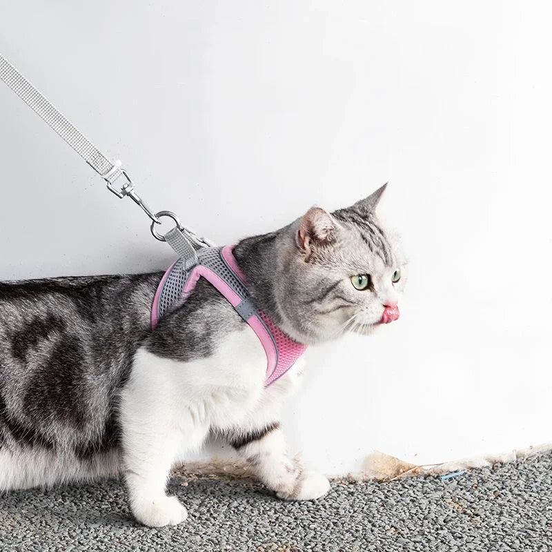 Cat Harness Leash Set Adjustable Cat Collar