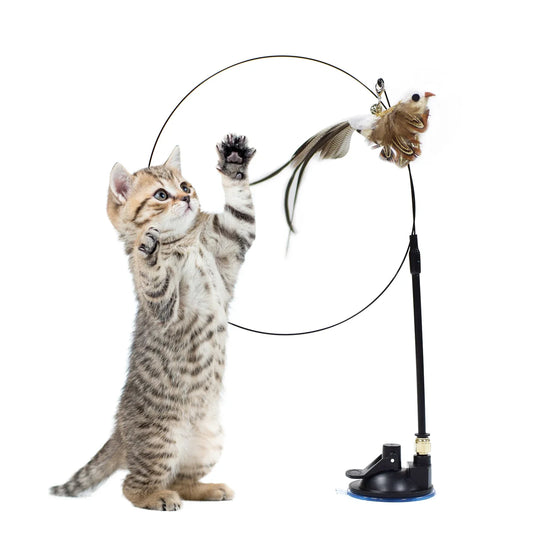 Simulation Bird Interactive Cat Toy Suction Cup