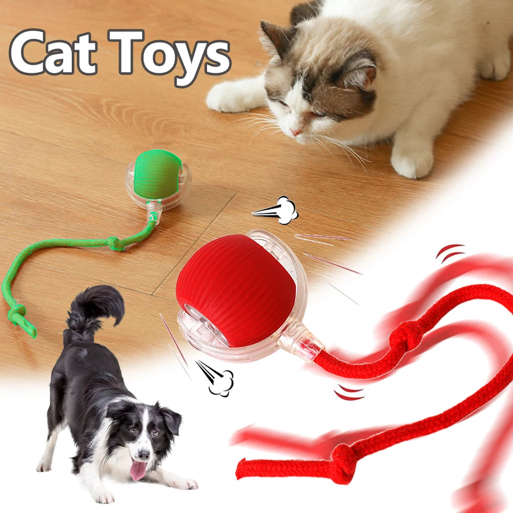 Cat Toys Ball Auto Electric Rolling Ball