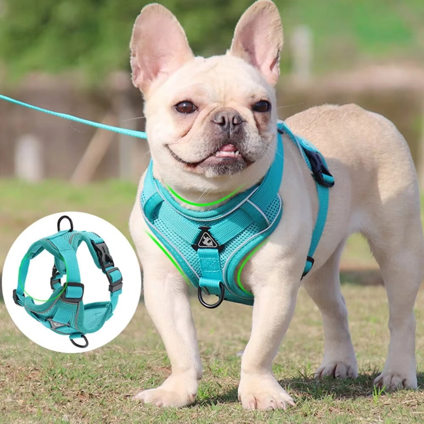 Pull Dog Harness, Unique Colors Reflective Adjustable