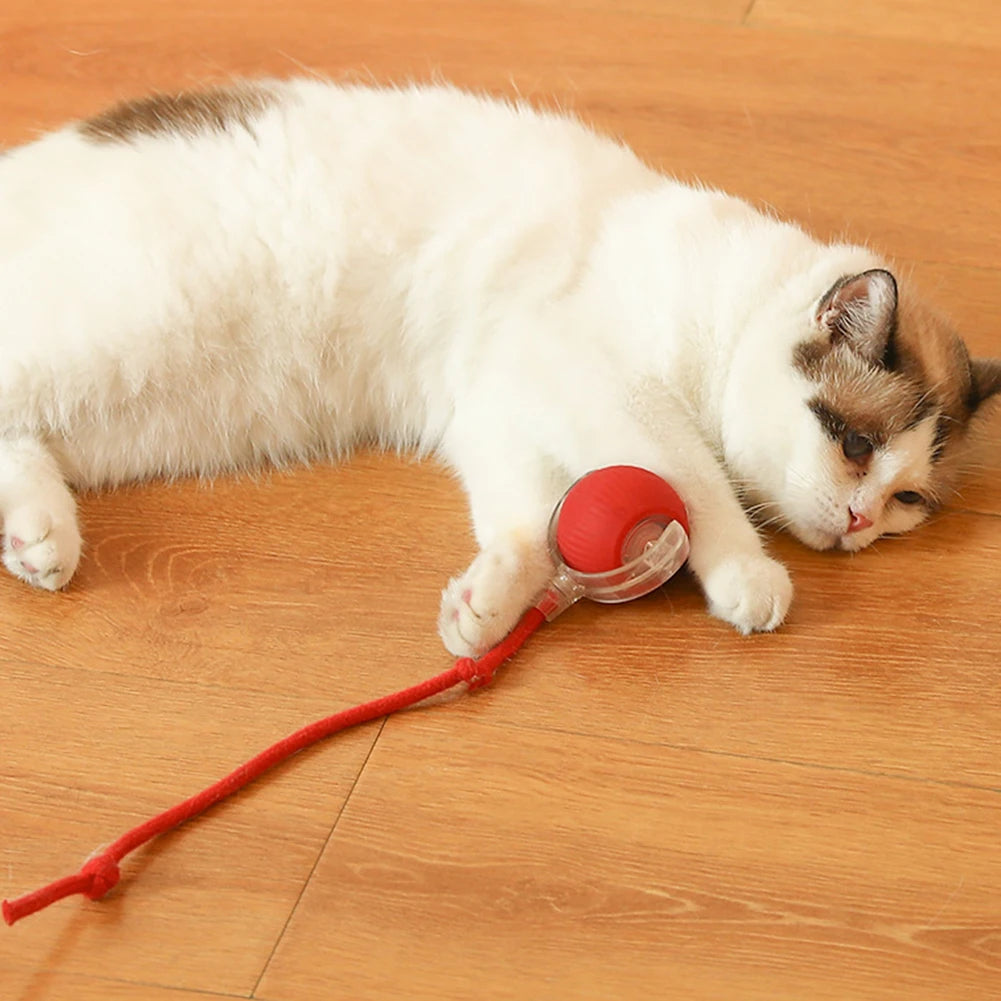 Cat Ball Toys Automatic Rolling Ball Tail