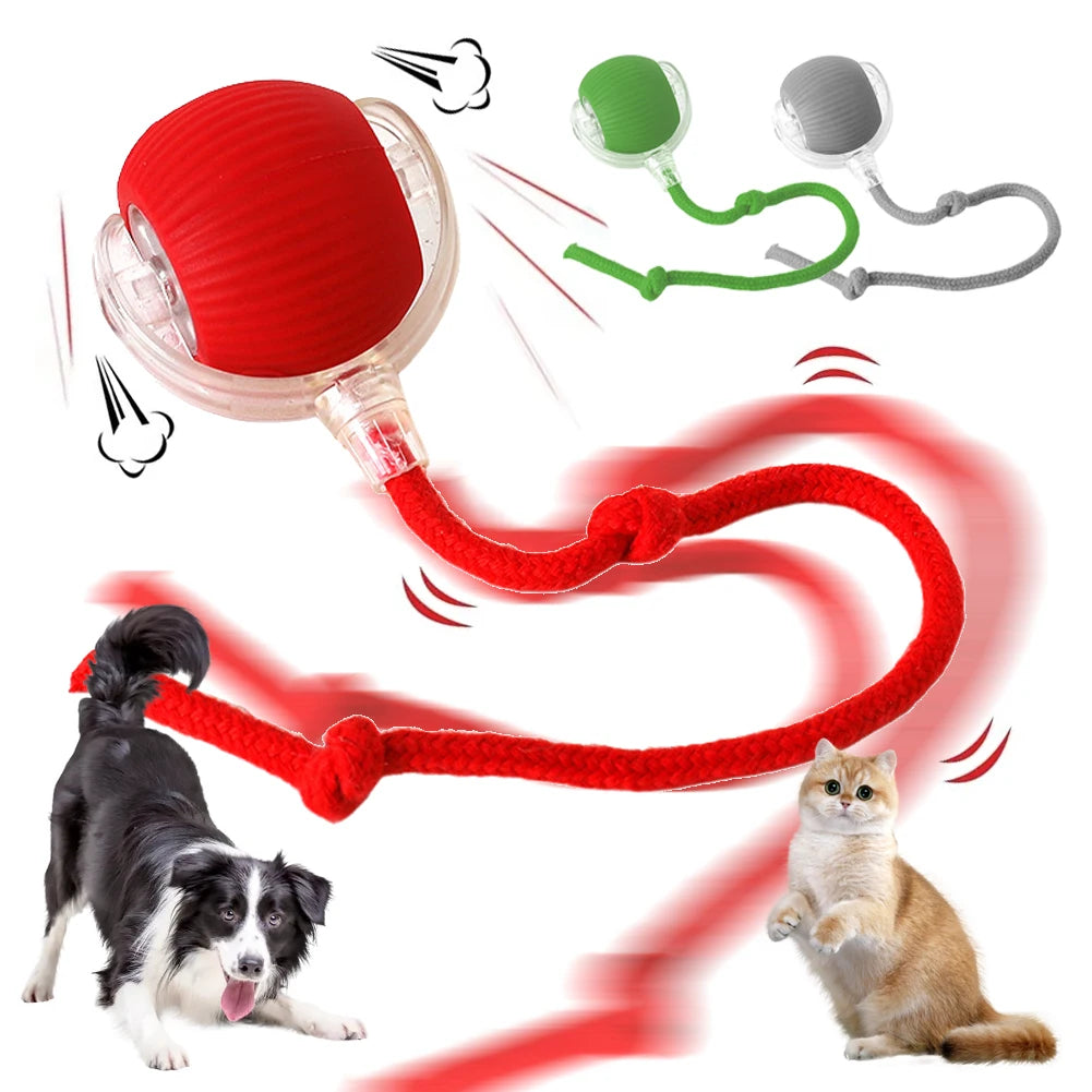 Cat Toys Ball Auto Electric Rolling Ball