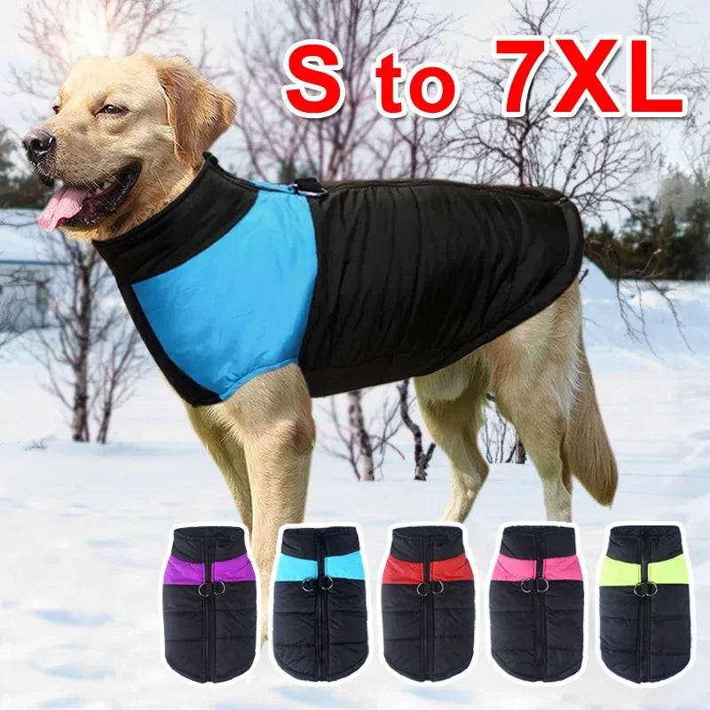 Big Dog Clothes Winter Warm Jacket Waterproof