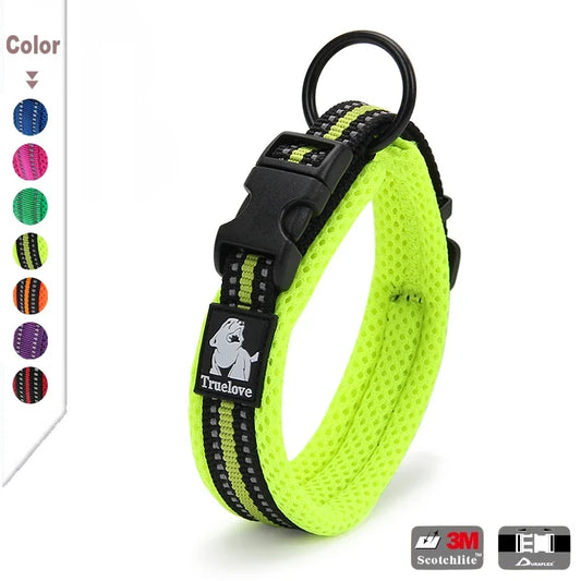 Dog Walking Collar Comfort Padded with Buckle