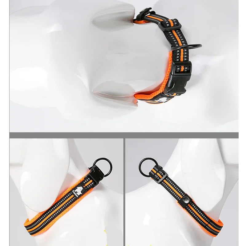 Dog Walking Collar Comfort Padded with Buckle