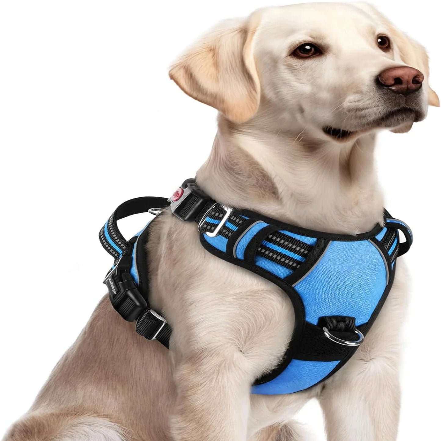 Adjustable Large Dog Harness  Padding, Reflective Strips