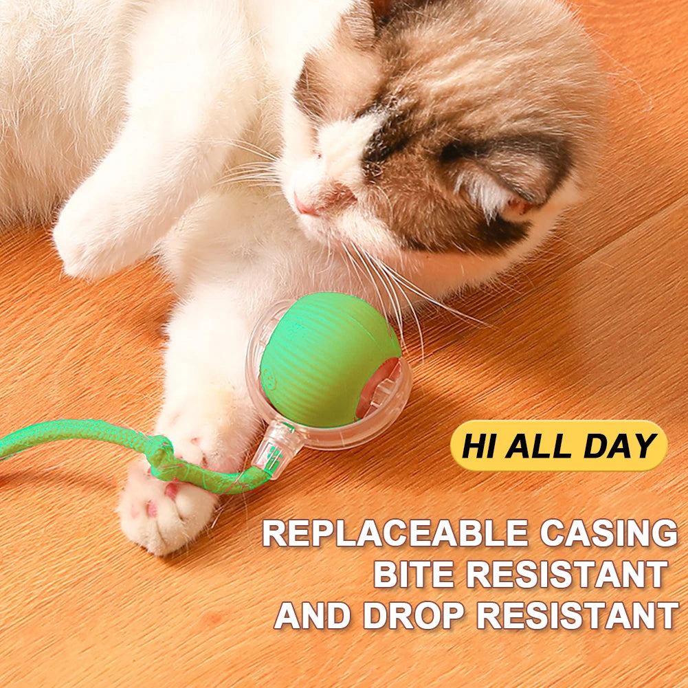 Cat Ball Electric Automatic Rolling Ball Rechargeable