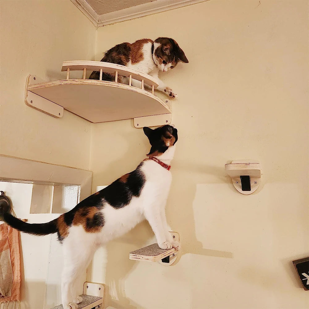 Cat Wall Mounted Four Step Scratching Post