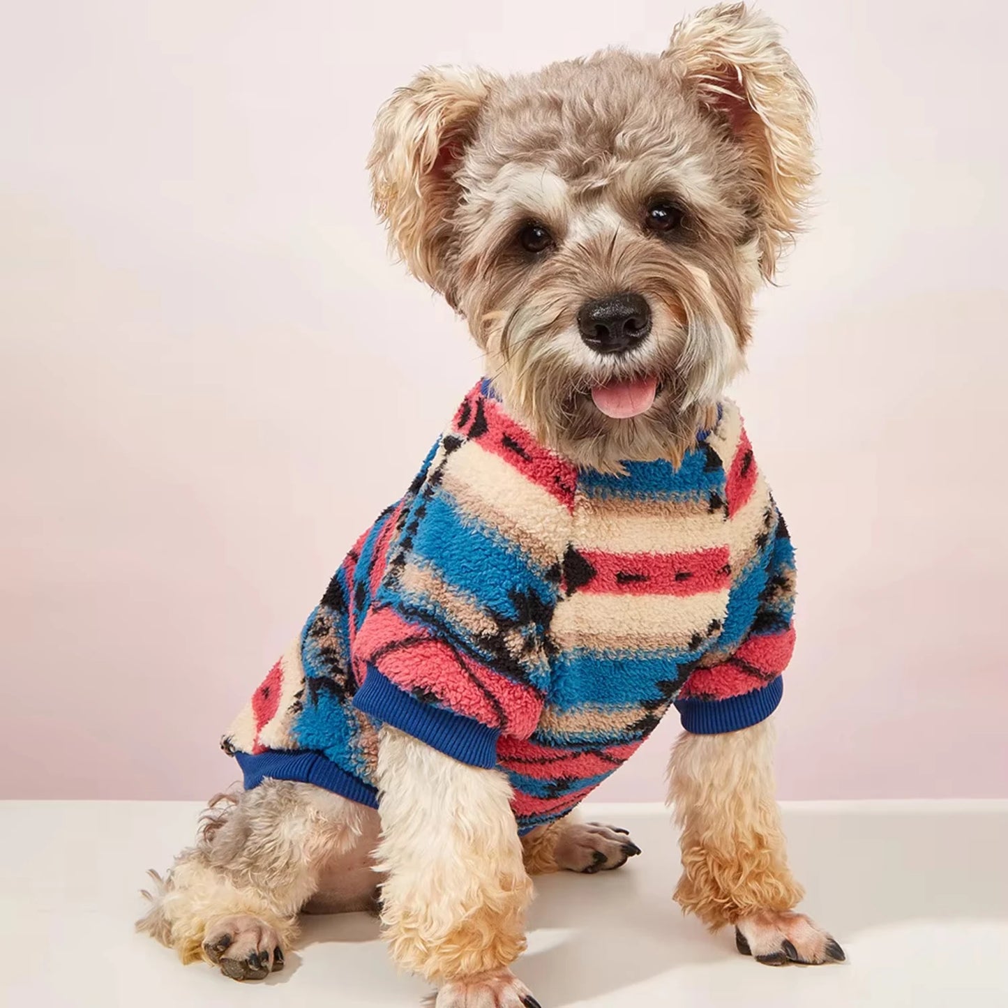 Hot selling pet clothes for autumn winter