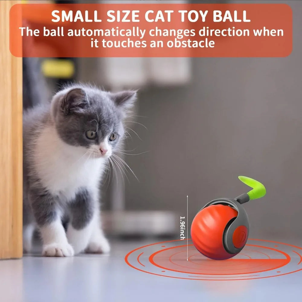 Interactive Cat Ball with Feather,  Motion Activated