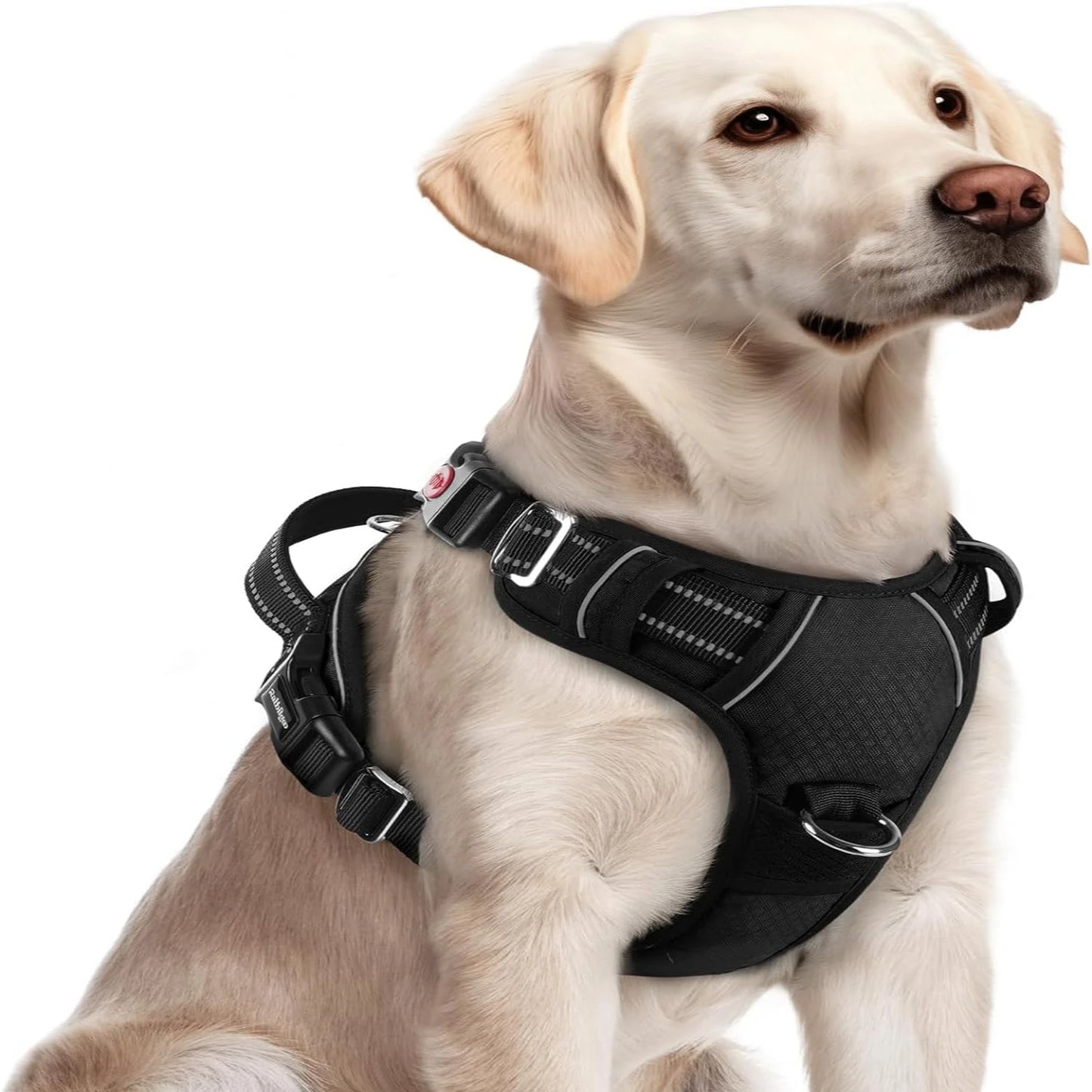 Adjustable Large Dog Harness  Padding, Reflective Strips