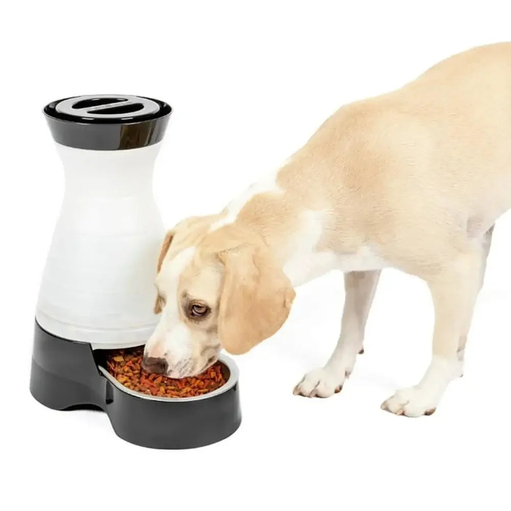 Automatic Food Dispenser Large Capacity Gravity Feeder