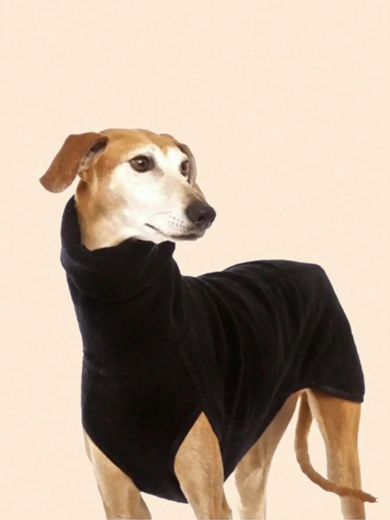 Greyhound Clothes, Dog Winter Coat Turtleneck Greyhound