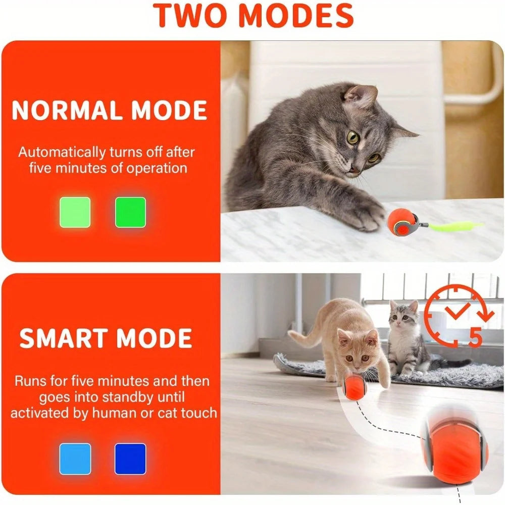 Interactive Cat Ball with Feather,  Motion Activated