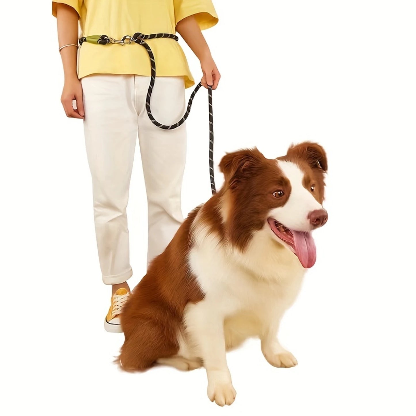 6ft Hands-Free Reflective Crossbody Dog Leash