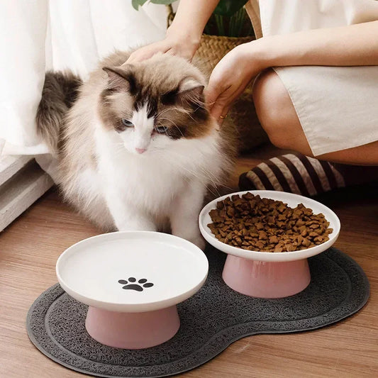 Cat Bowl Ceramic Food Plate Water Dish