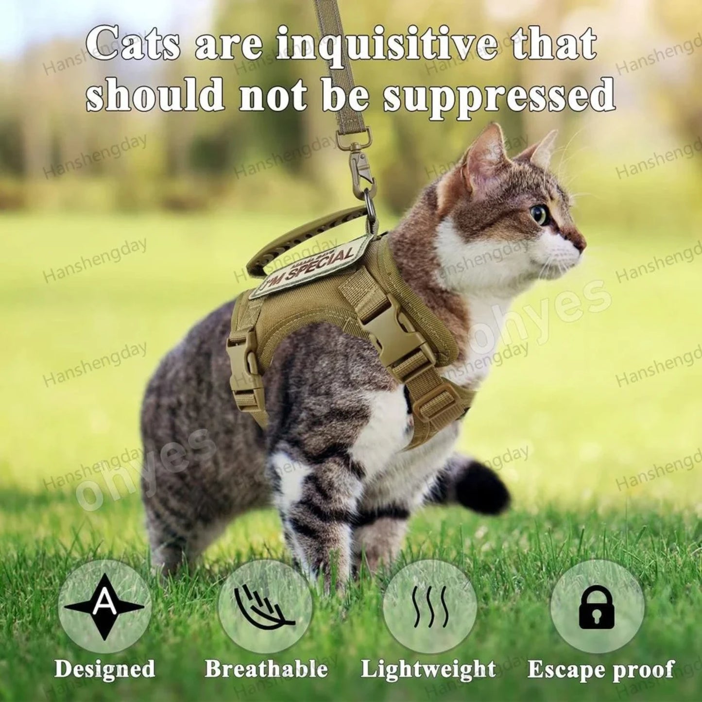 Adjustable Tactical Cat Harness Set Walking Vest