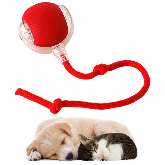 Cat Ball Electric Automatic Rolling Ball Rechargeable