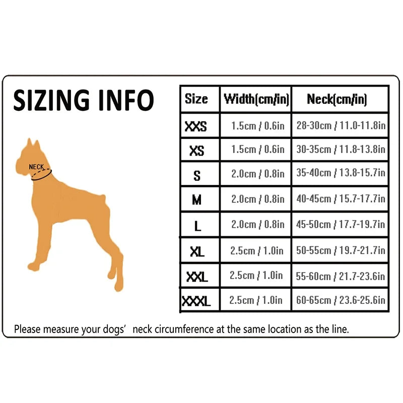 Dog Walking Collar Comfort Padded with Buckle